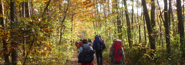 Pilgergruppe im Herbst Wald